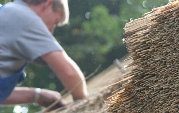 professional Cilau thatchers